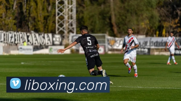 AI Risk Control